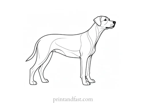 dog coloring page breed specific