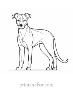 dog coloring page creative