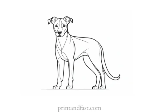 dog coloring page creative