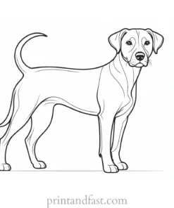 dog coloring page interactive