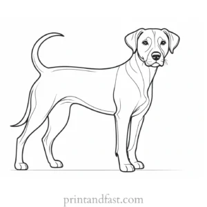 dog coloring page interactive