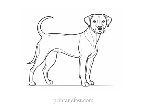 dog coloring page interactive