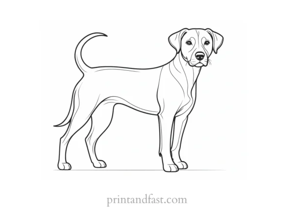 dog coloring page interactive