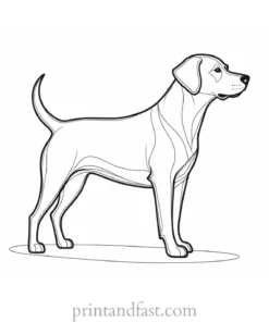 dog coloring page template