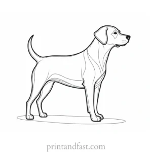 dog coloring page template