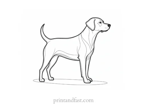 dog coloring page template