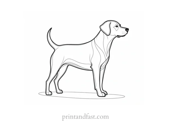 dog coloring page template