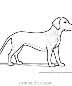 dog coloring page with instructions