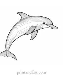 dolphin coloring page DIY