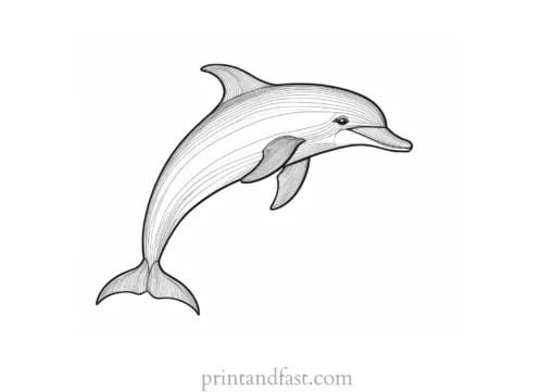 dolphin coloring page DIY