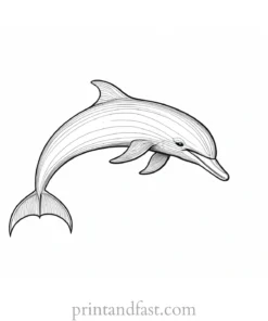 dolphin coloring page abstract