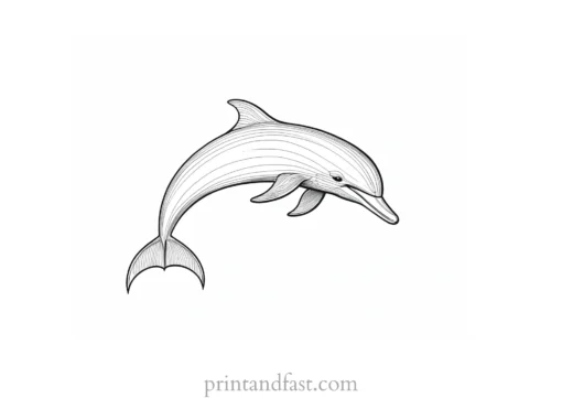 dolphin coloring page abstract