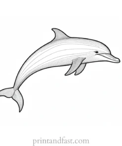 dolphin coloring page activity