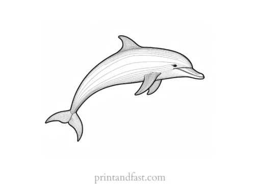 dolphin coloring page activity