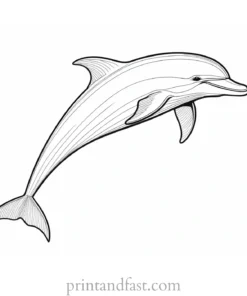 dolphin coloring page adult