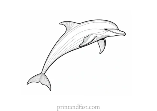 dolphin coloring page adult