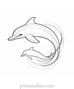 dolphin coloring page baby