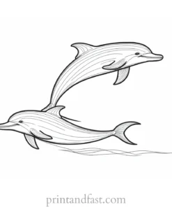 dolphin coloring page cartoon