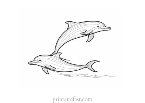 dolphin coloring page cartoon