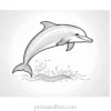 dolphin coloring page cute