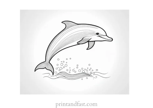 dolphin coloring page cute