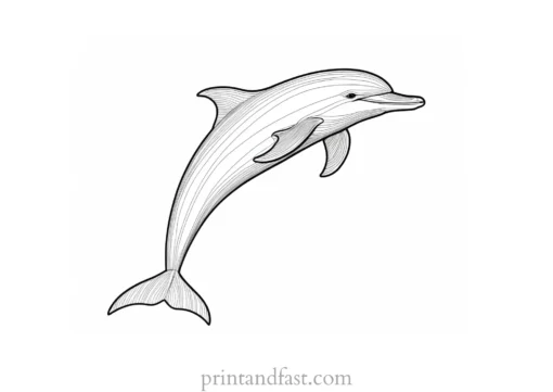 dolphin coloring page easy