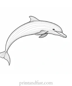 dolphin coloring page educational