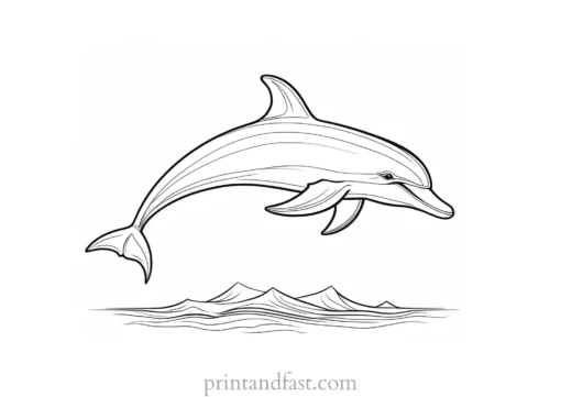 dolphin coloring page for kids