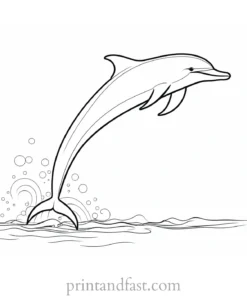 dolphin coloring page free