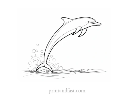 dolphin coloring page free