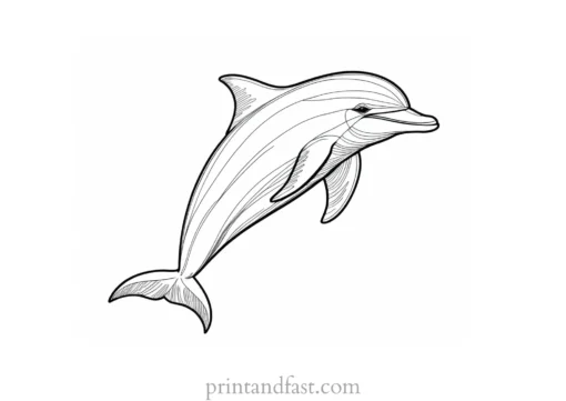 dolphin coloring page fun