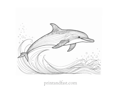 dolphin coloring page intricate