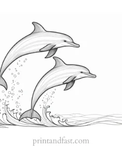 dolphin coloring page ocean