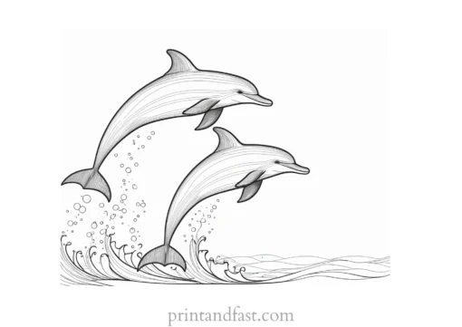 dolphin coloring page ocean