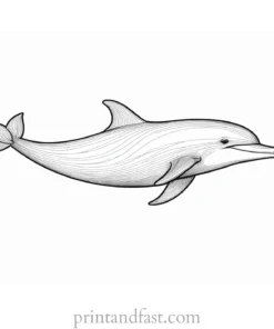 dolphin coloring page online