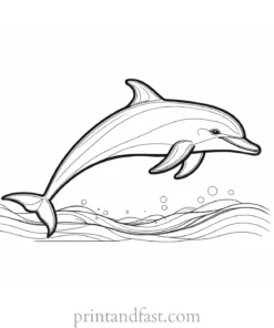 dolphin coloring page outline