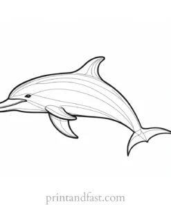 dolphin coloring page preschool