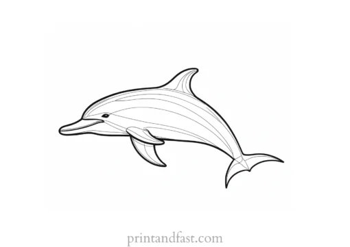 dolphin coloring page preschool