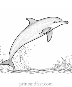 dolphin coloring page printable