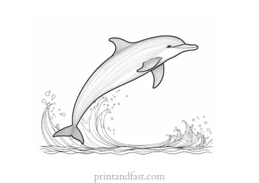 dolphin coloring page printable