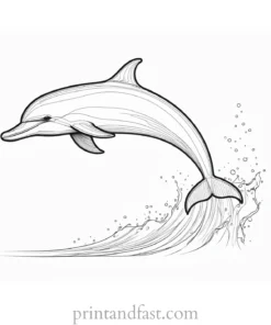 dolphin coloring page realistic 1