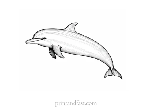 dolphin coloring page realistic