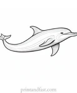 dolphin coloring page simple