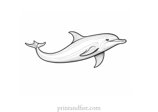 dolphin coloring page simple