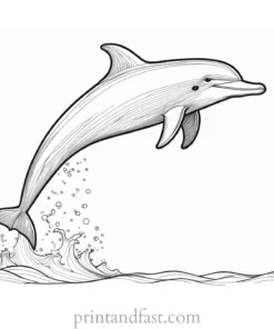 dolphin coloring page summer