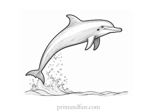 dolphin coloring page summer