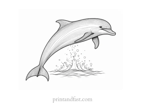 dolphin coloring page template