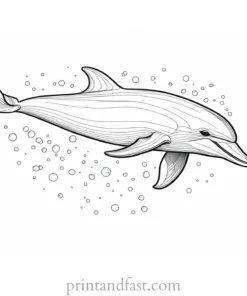 dolphin coloring page underwater