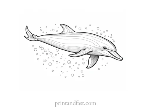 dolphin coloring page underwater