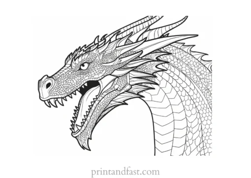 dragon coloring page